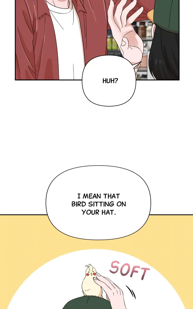 ch 56 68