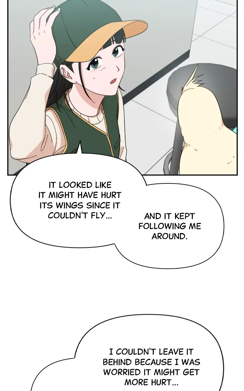 ch 56 73