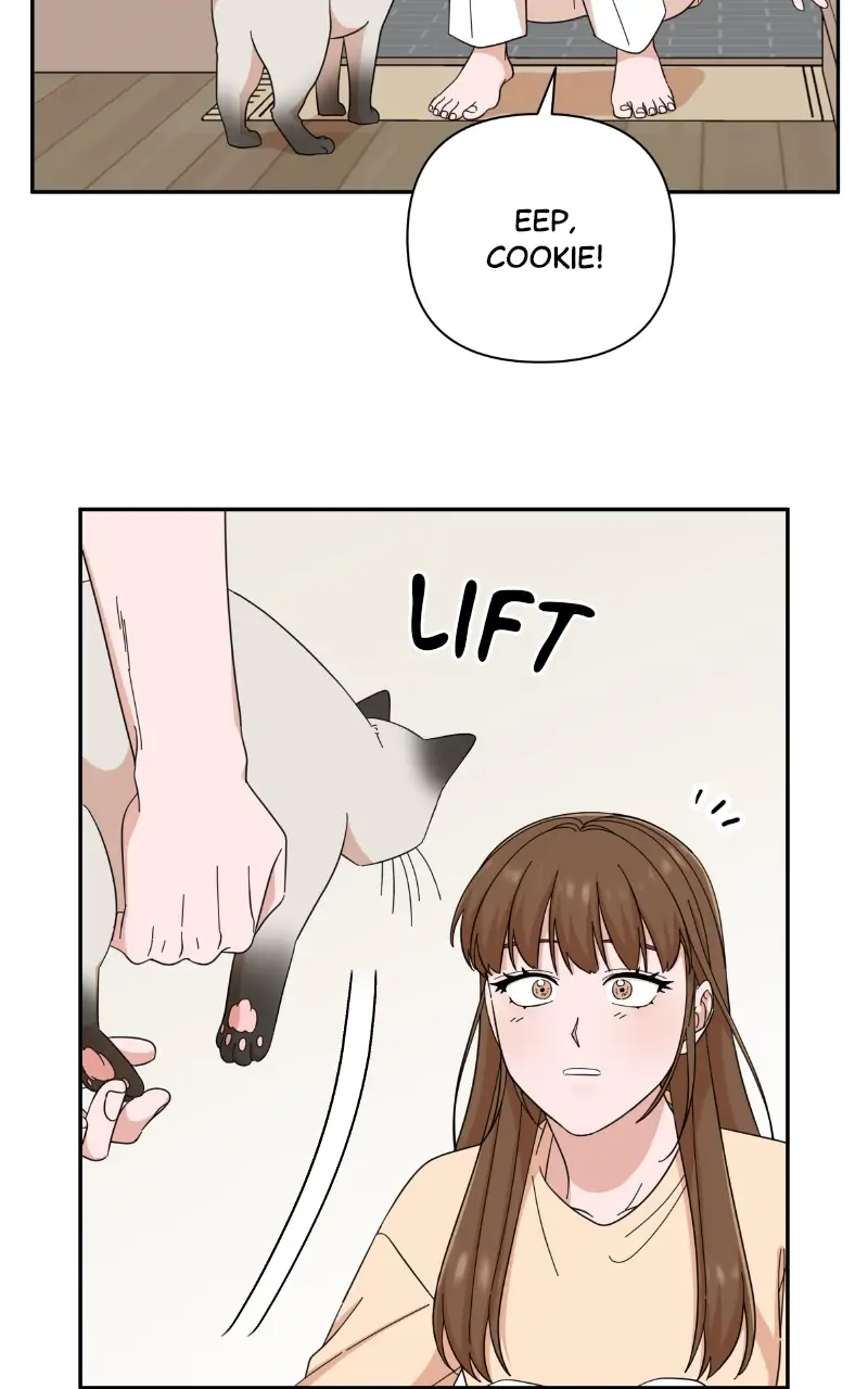 ch 61 60