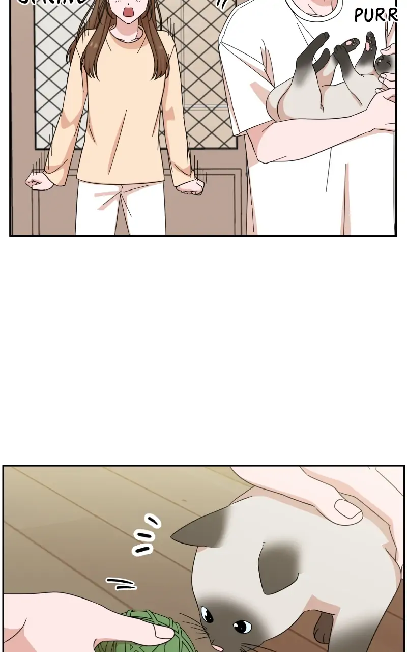 ch 61 63