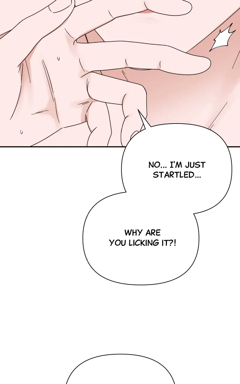 ch 85 29