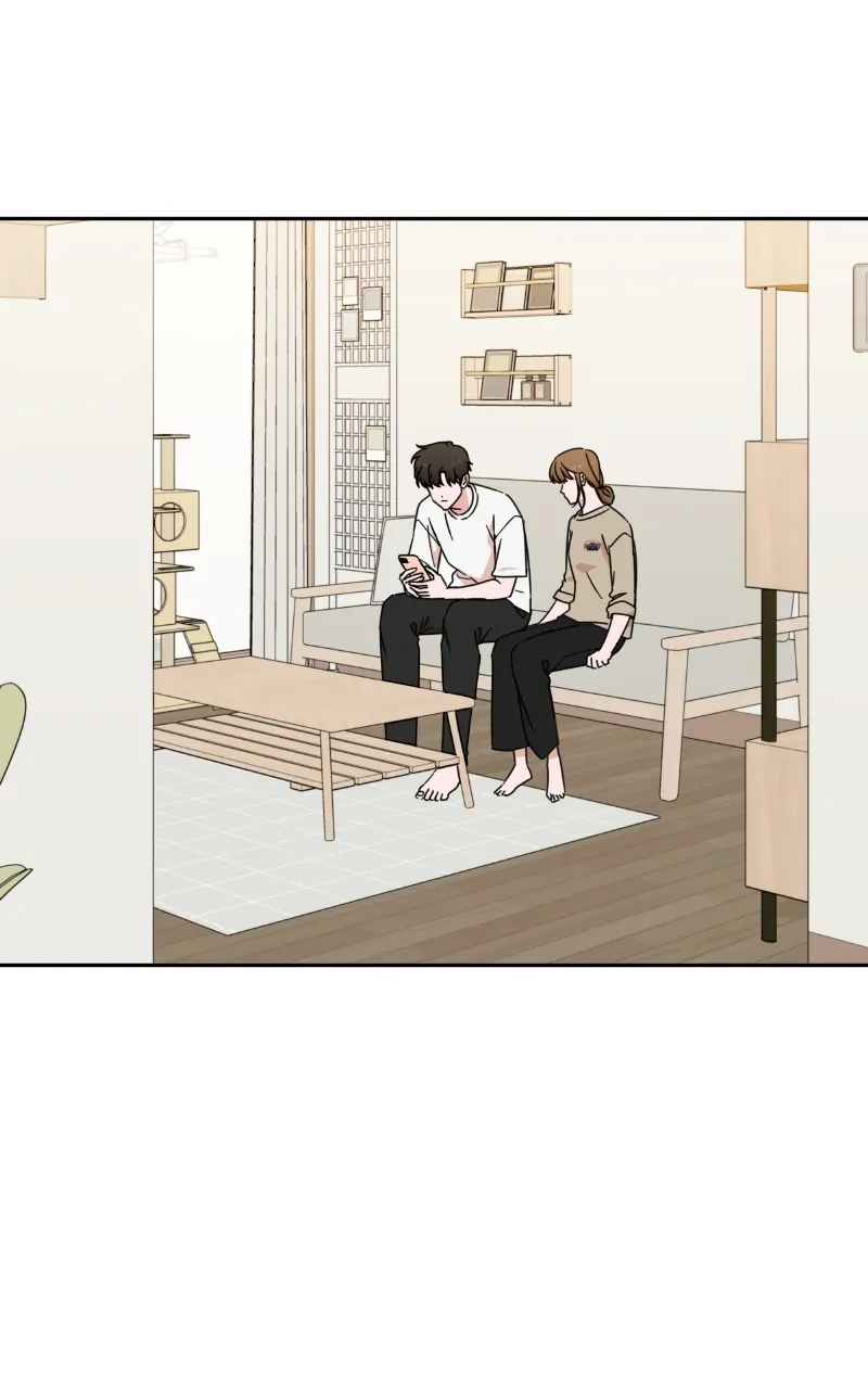 ch 91 71