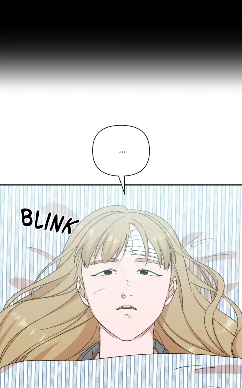 ch 95 15