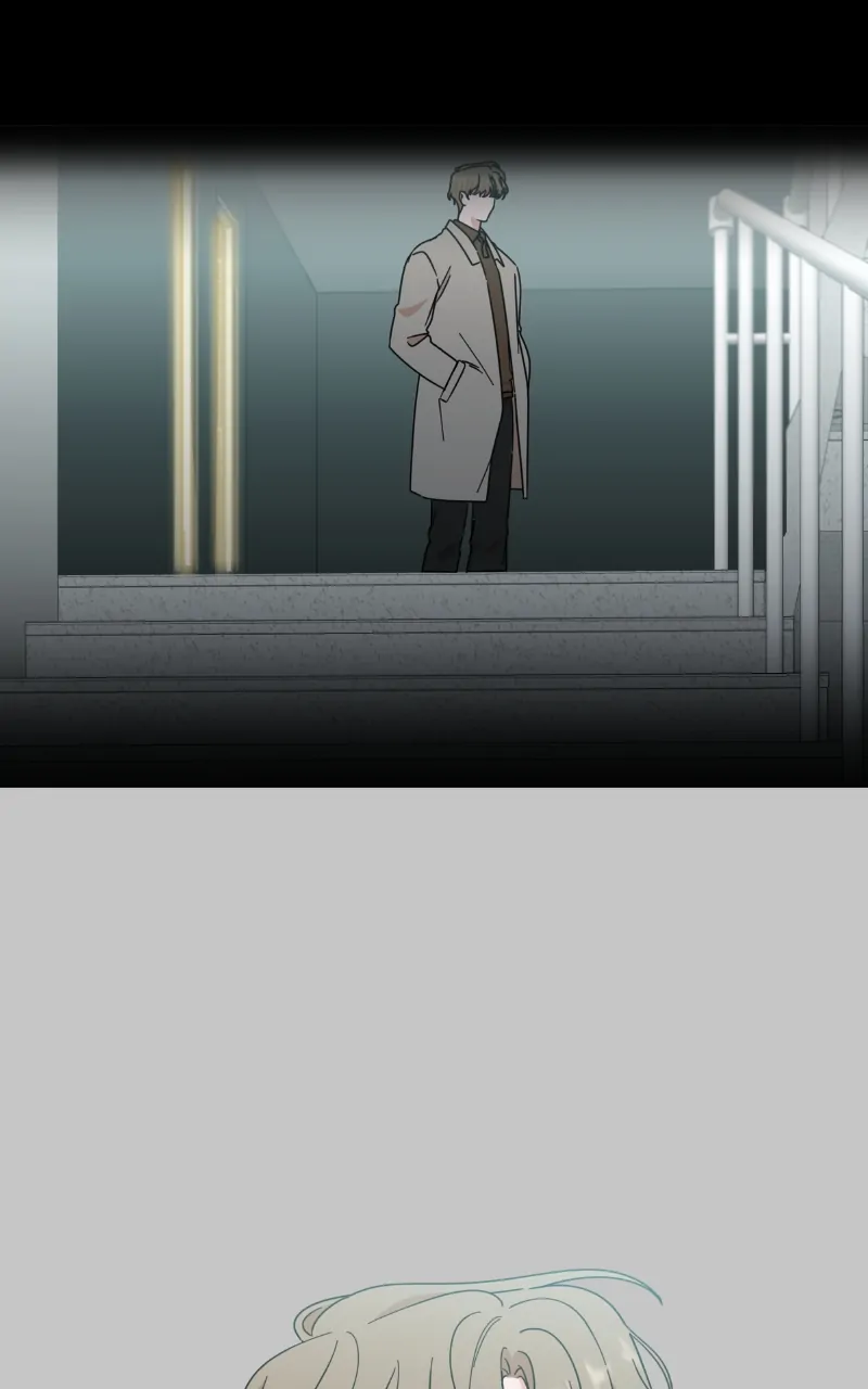 ch 95 37