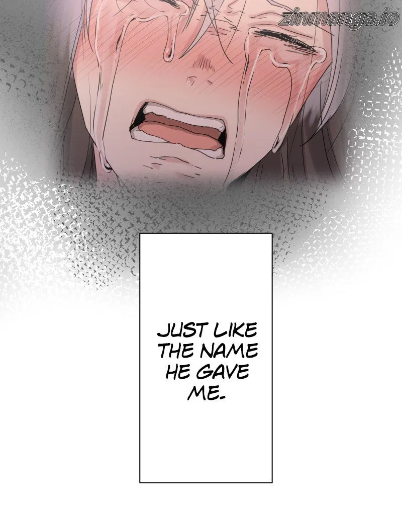 Nulliitas: The Half-Blood Royalty Chapter 139 199 30