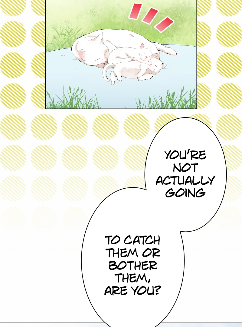 Nulliitas: The Half-Blood Royalty Chapter 182 345 038