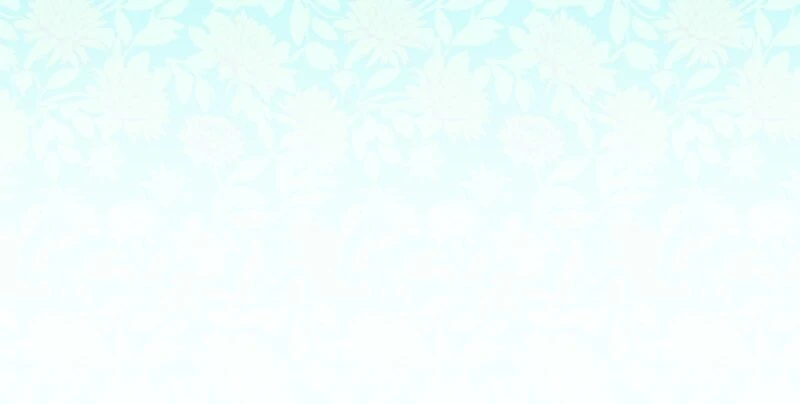 Nulliitas: The Half-Blood Royalty Chapter 201 201 ch 201 35