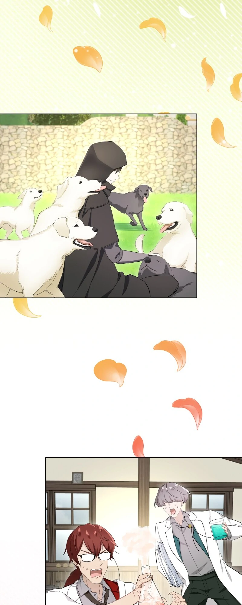 ch 204 48
