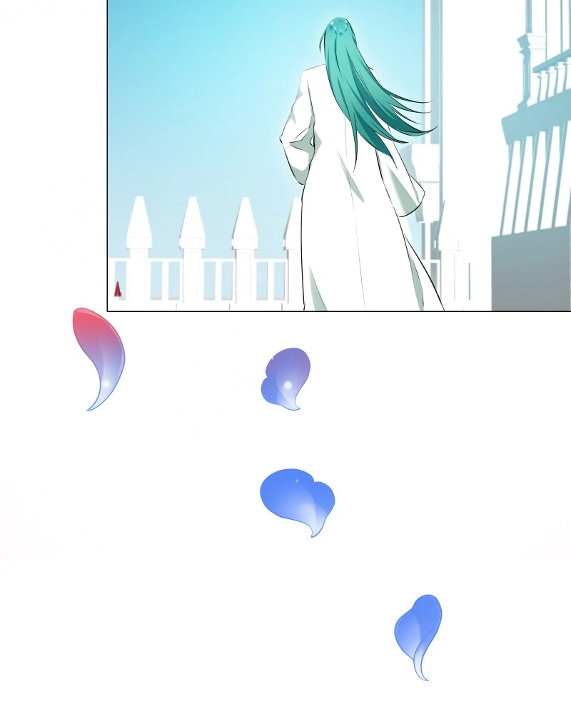 ch 204 50