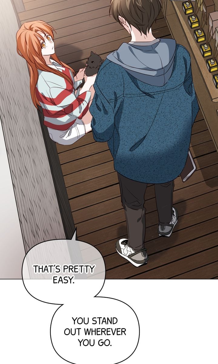 ch 36 26