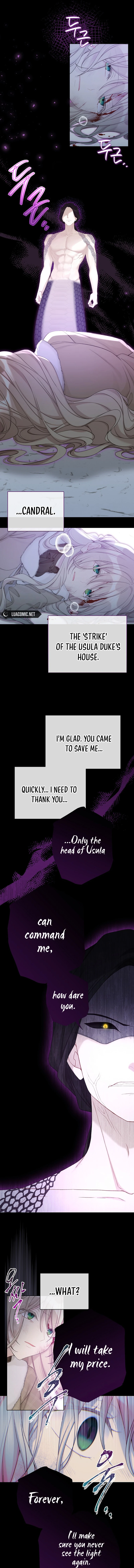 ch 113 7