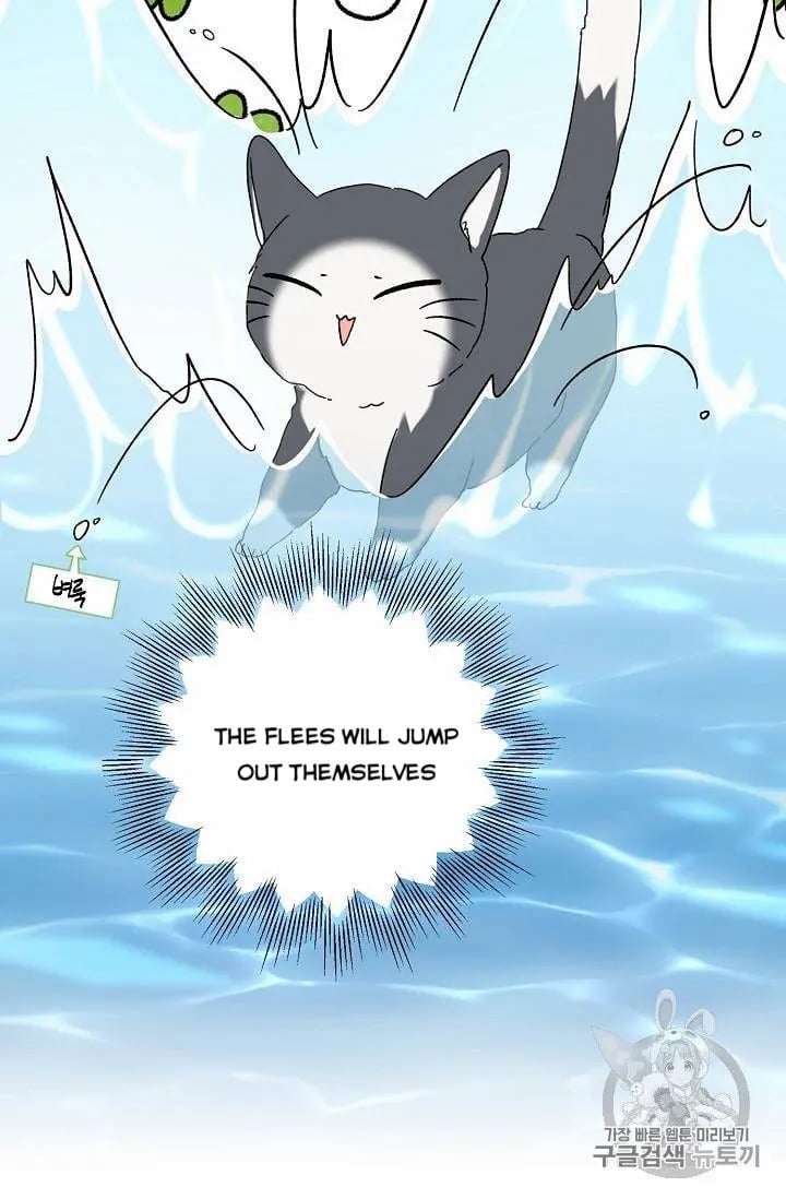 chap 15 29
