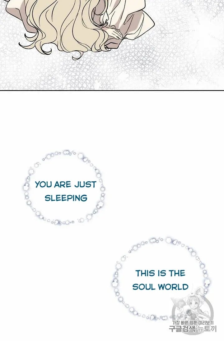 chap 17 20