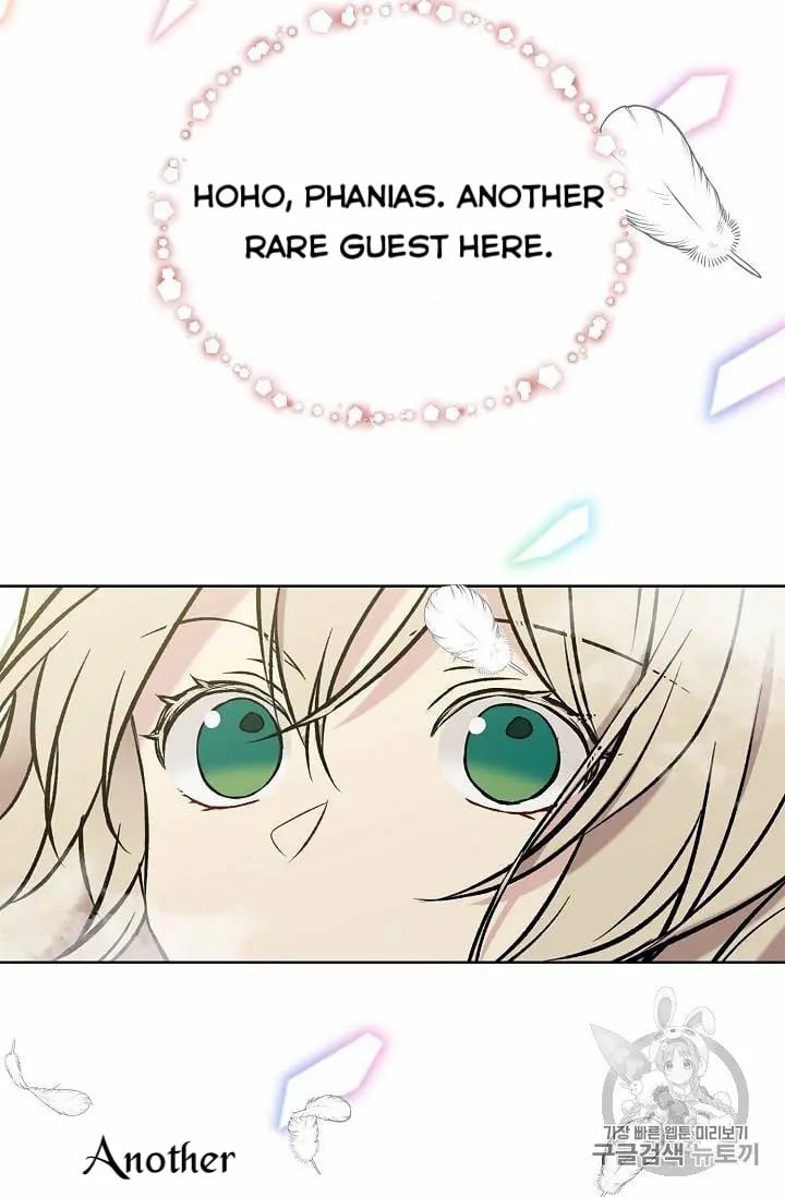 chap 17 46