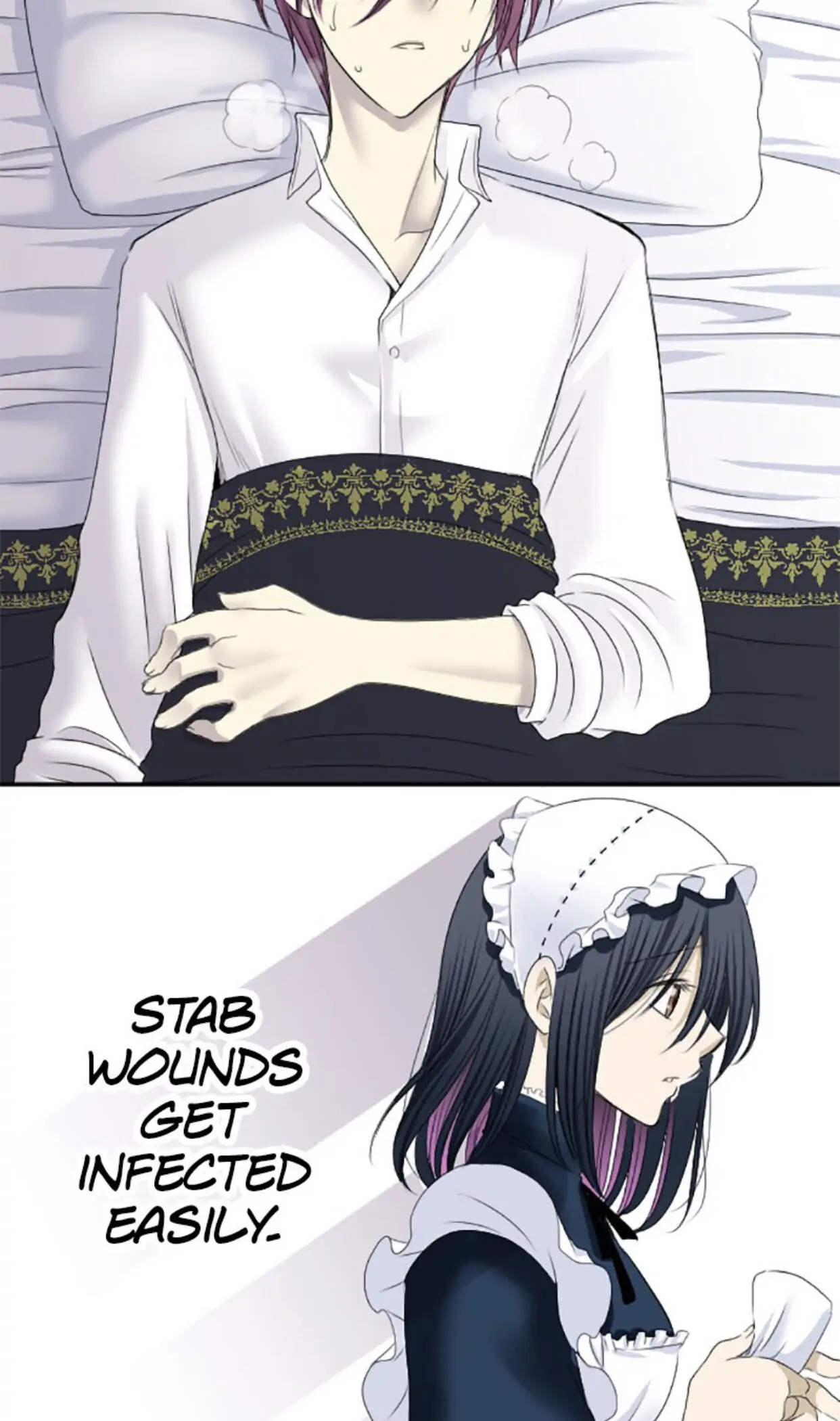 I was Reborn as a Housekeeper in a Parallel World! Chapter 10 162 017