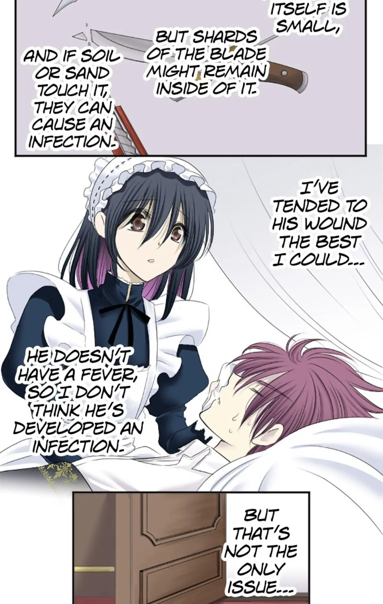 I was Reborn as a Housekeeper in a Parallel World! Chapter 10 164 019