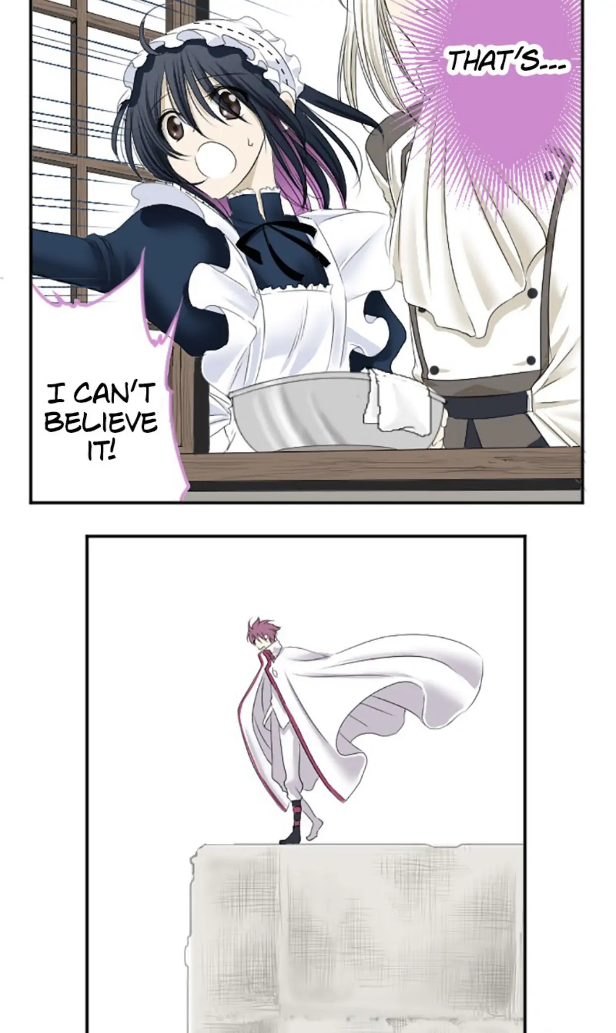 I was Reborn as a Housekeeper in a Parallel World! Chapter 10 171 026