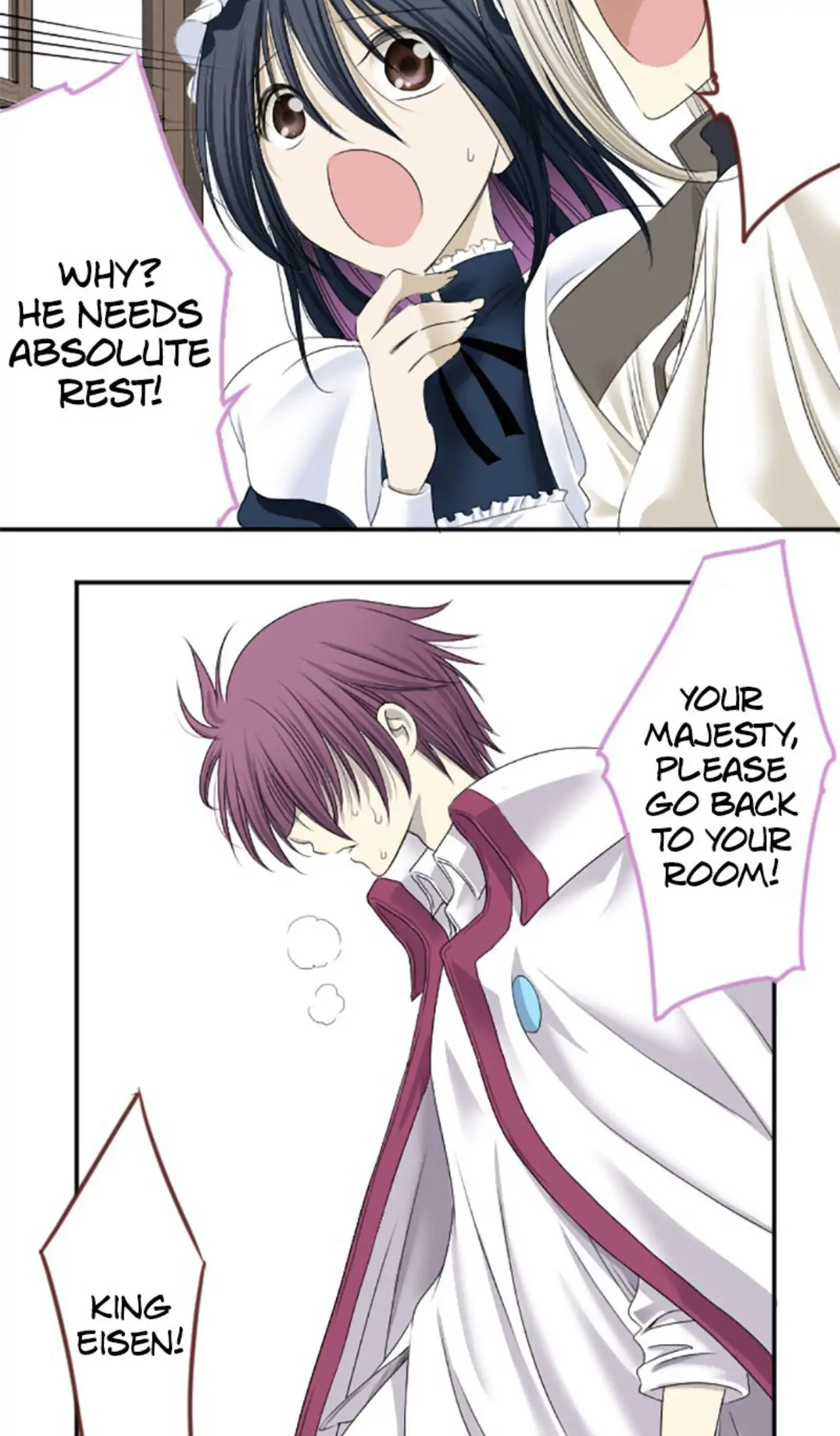 I was Reborn as a Housekeeper in a Parallel World! Chapter 10 173 028