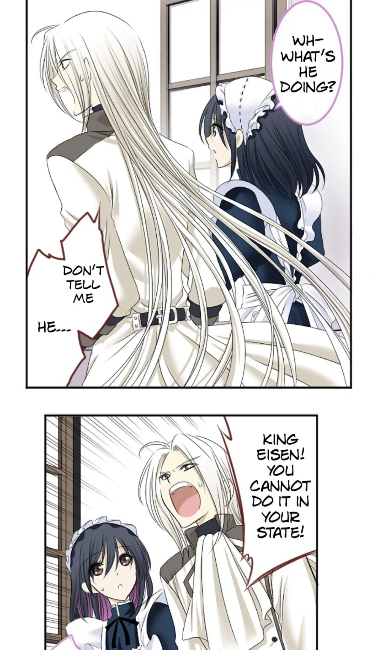 I was Reborn as a Housekeeper in a Parallel World! Chapter 10 176 031