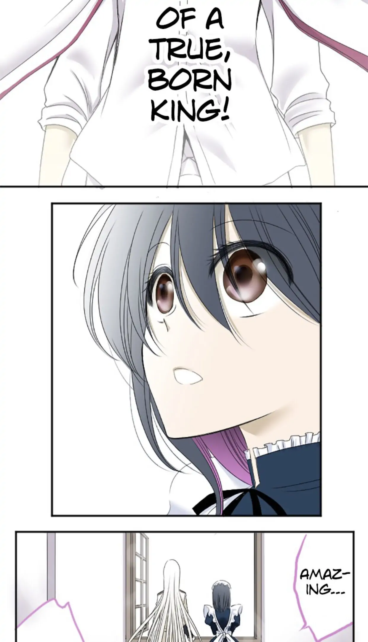 I was Reborn as a Housekeeper in a Parallel World! Chapter 10 187 042