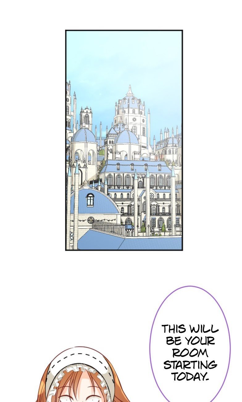 I was Reborn as a Housekeeper in a Parallel World! Chapter 102 137 image 03