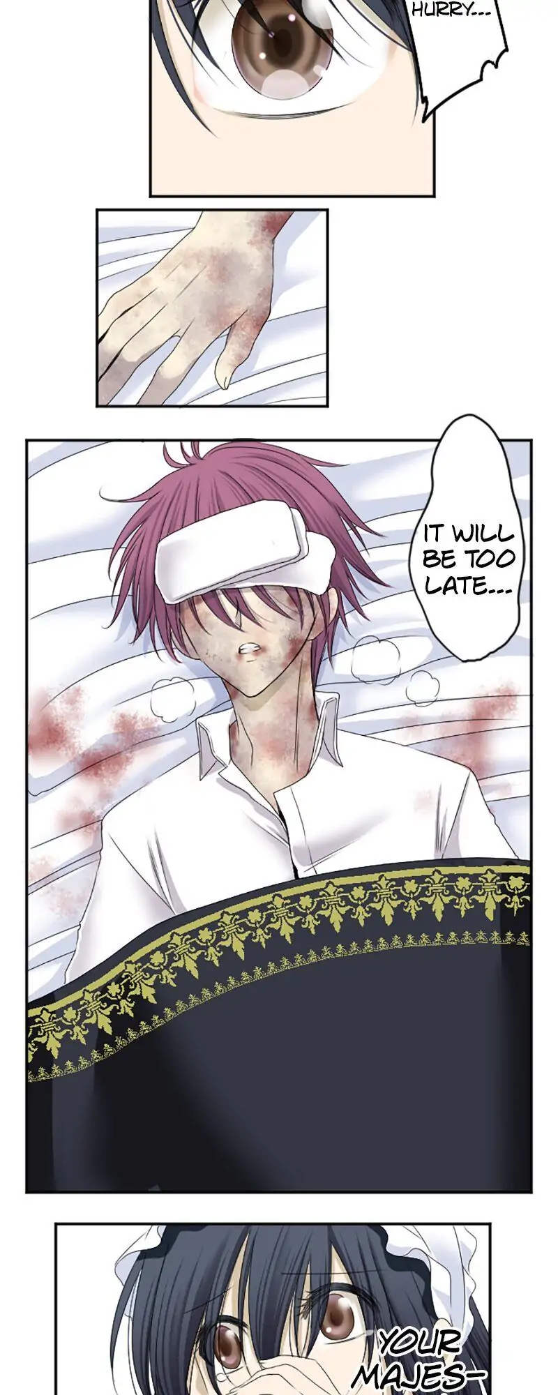 I was Reborn as a Housekeeper in a Parallel World! Chapter 11 85 003