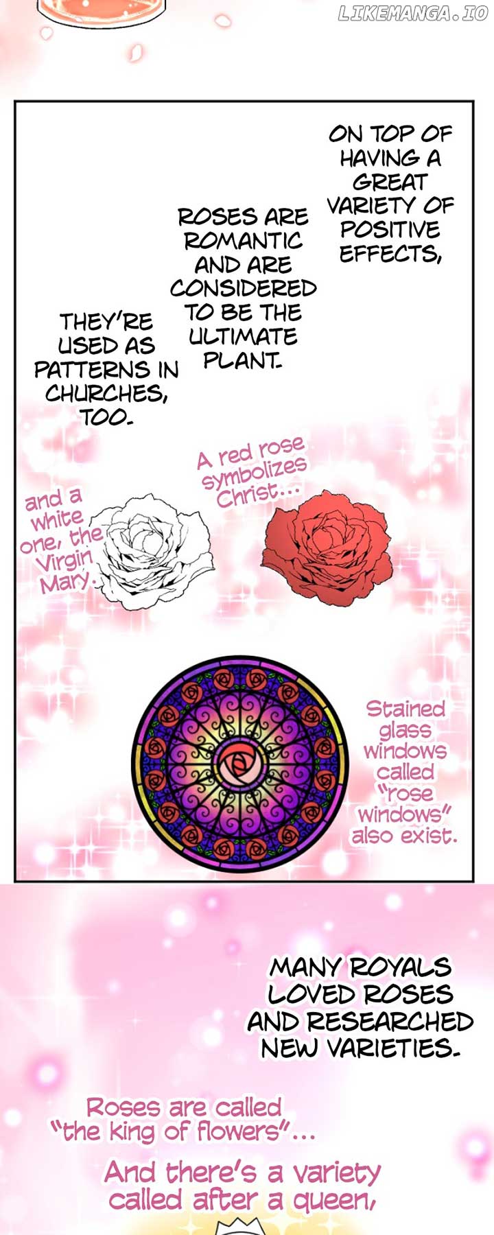 I was Reborn as a Housekeeper in a Parallel World! Chapter 161 275 ch 159 40