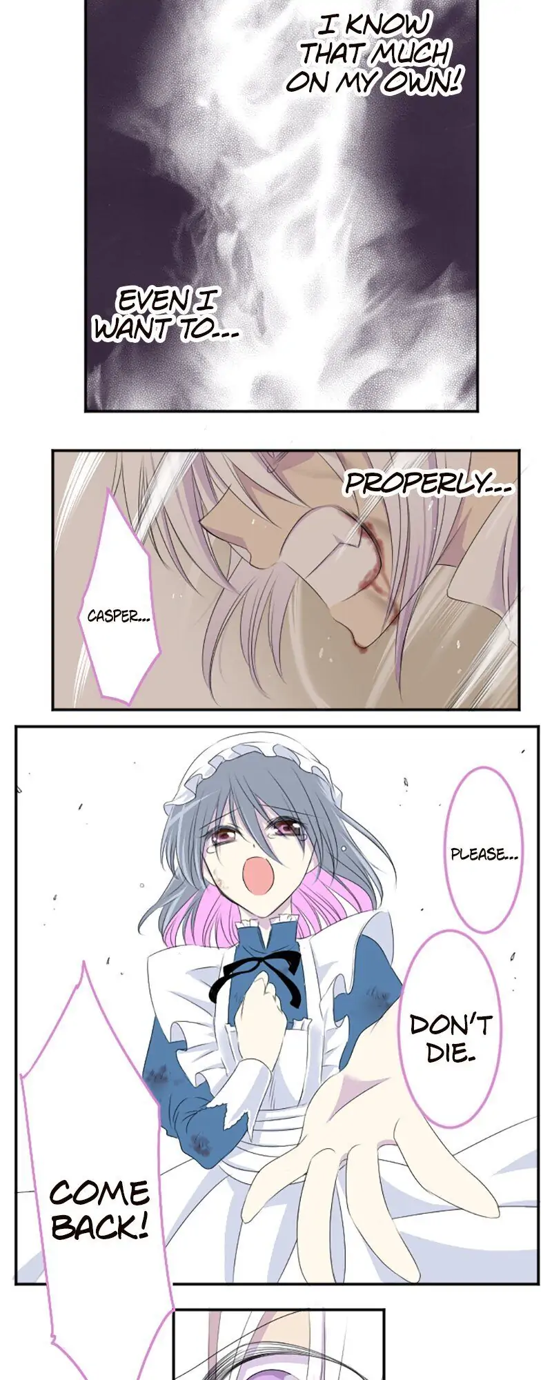 I was Reborn as a Housekeeper in a Parallel World! Chapter 17 114 020