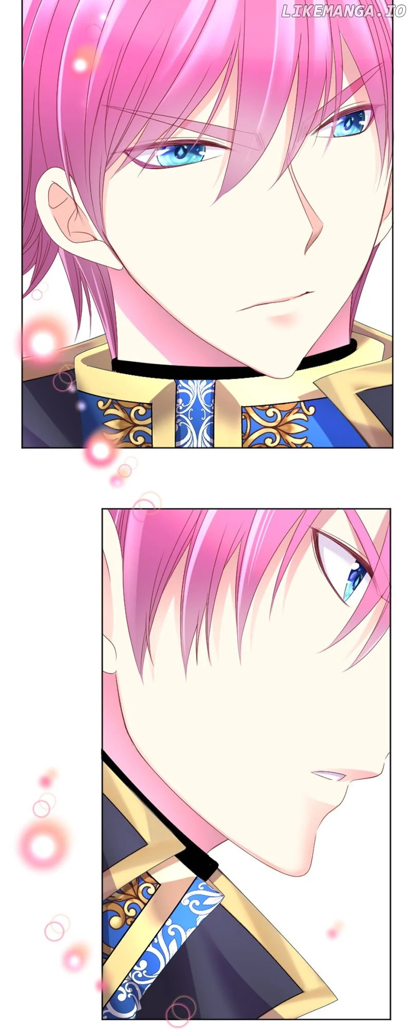 I was Reborn as a Housekeeper in a Parallel World! Chapter 173 241 ch 171 51