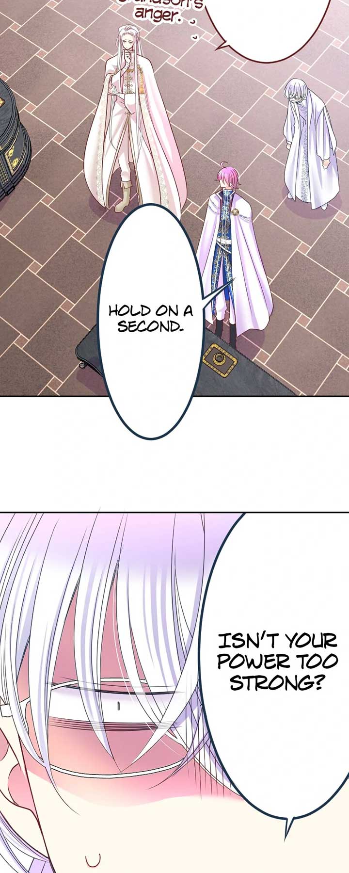 I was Reborn as a Housekeeper in a Parallel World! Chapter 199 216 35