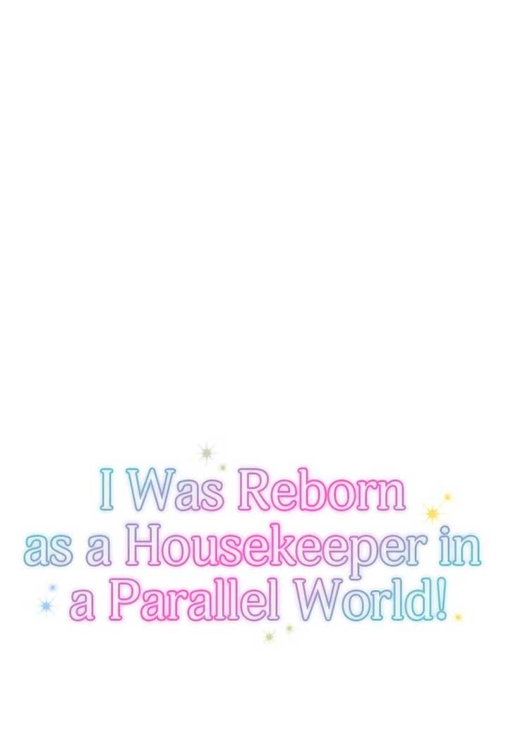 I was Reborn as a Housekeeper in a Parallel World! Chapter 202 134 07