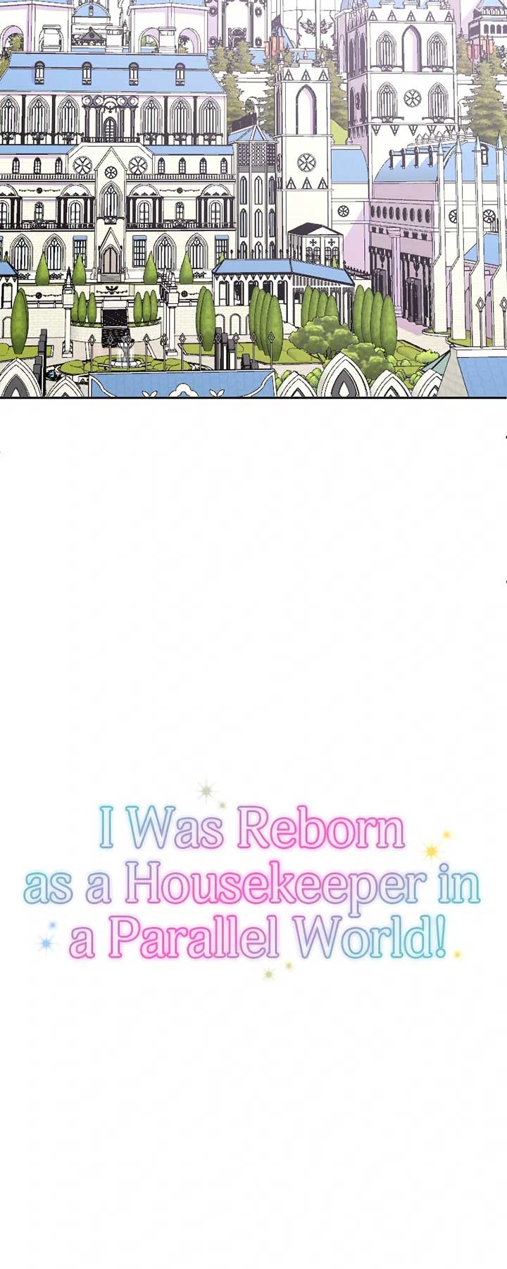 I was Reborn as a Housekeeper in a Parallel World! Chapter 203 142 09