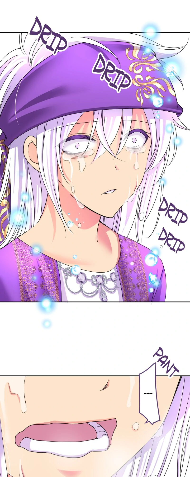 I was Reborn as a Housekeeper in a Parallel World! Chapter 206 248 37