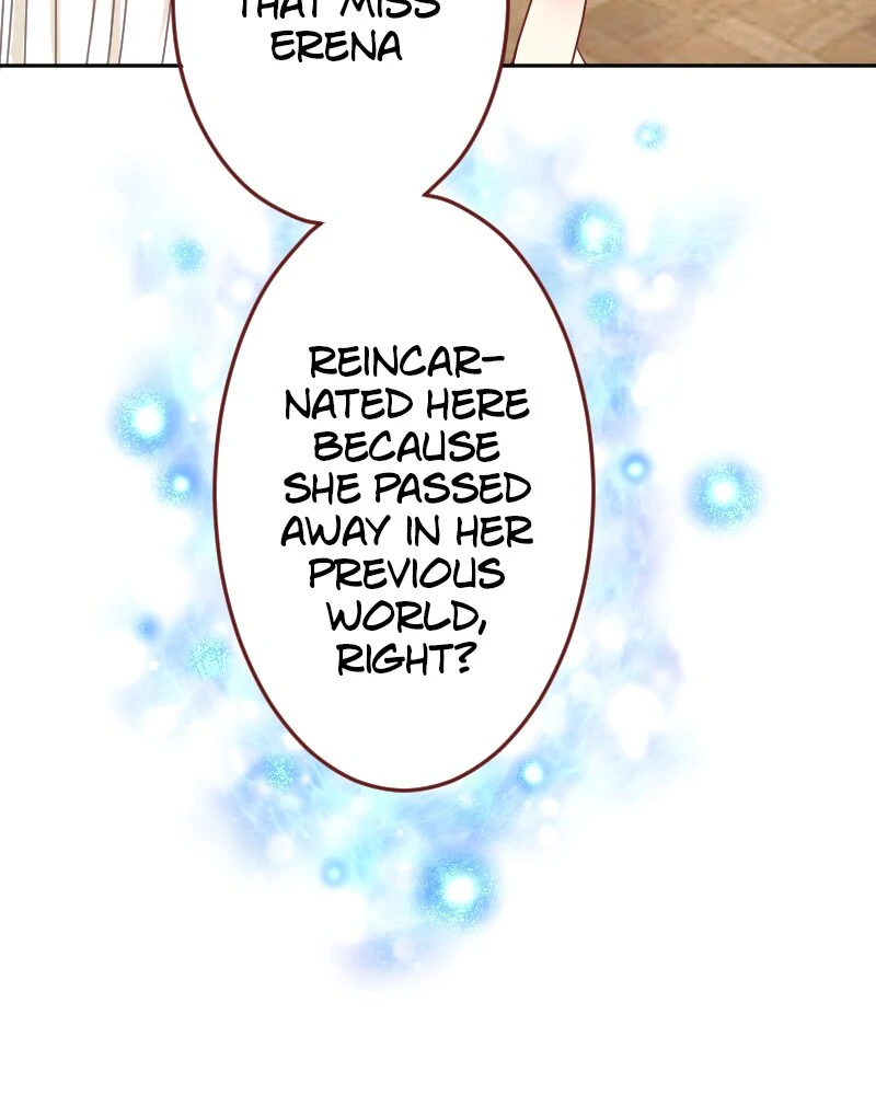 I was Reborn as a Housekeeper in a Parallel World! Chapter 209 152 28