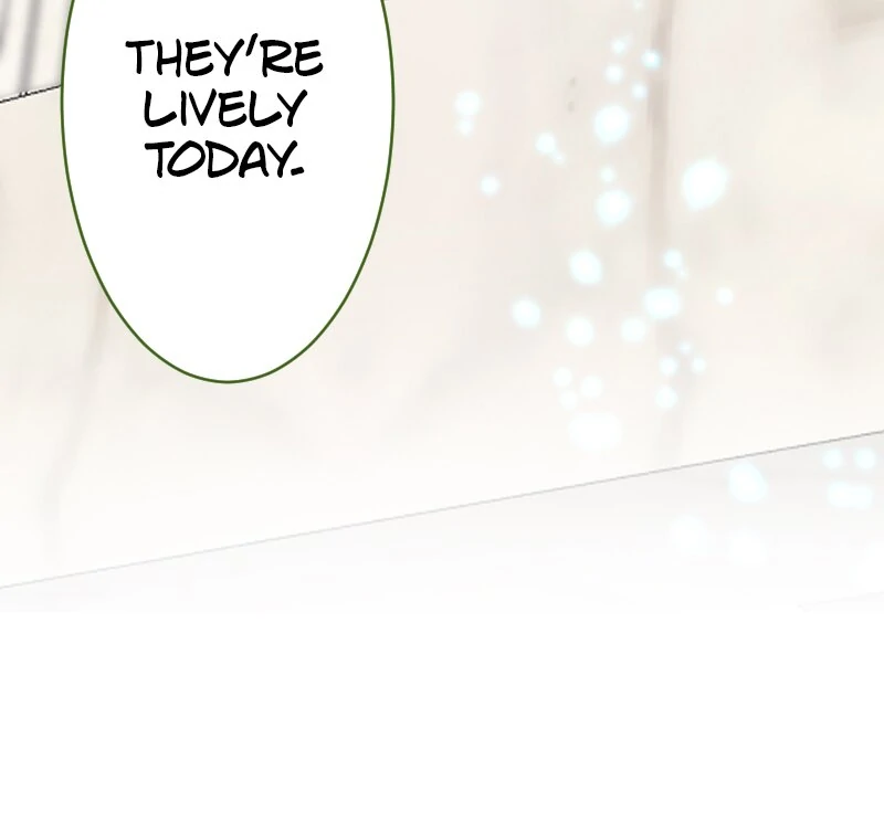 I was Reborn as a Housekeeper in a Parallel World! Chapter 236 292 ch 236 60