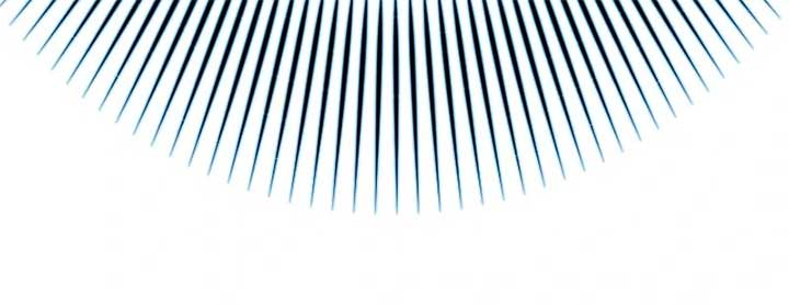 I was Reborn as a Housekeeper in a Parallel World! Chapter 247 334 ch 247 60