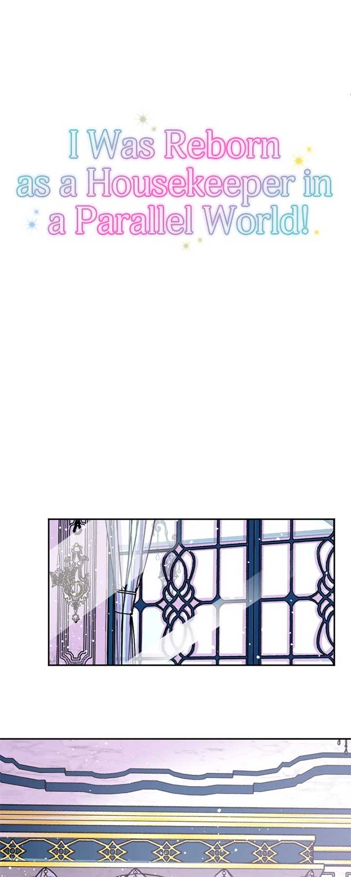 I was Reborn as a Housekeeper in a Parallel World! Chapter 247 283 ch 247 9