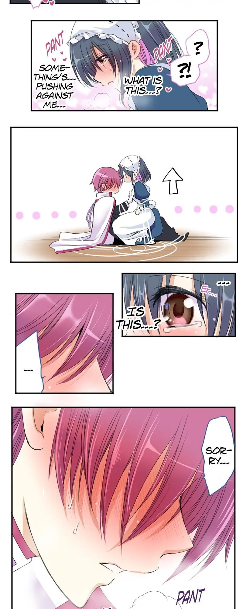 I was Reborn as a Housekeeper in a Parallel World! Chapter 27 100 012