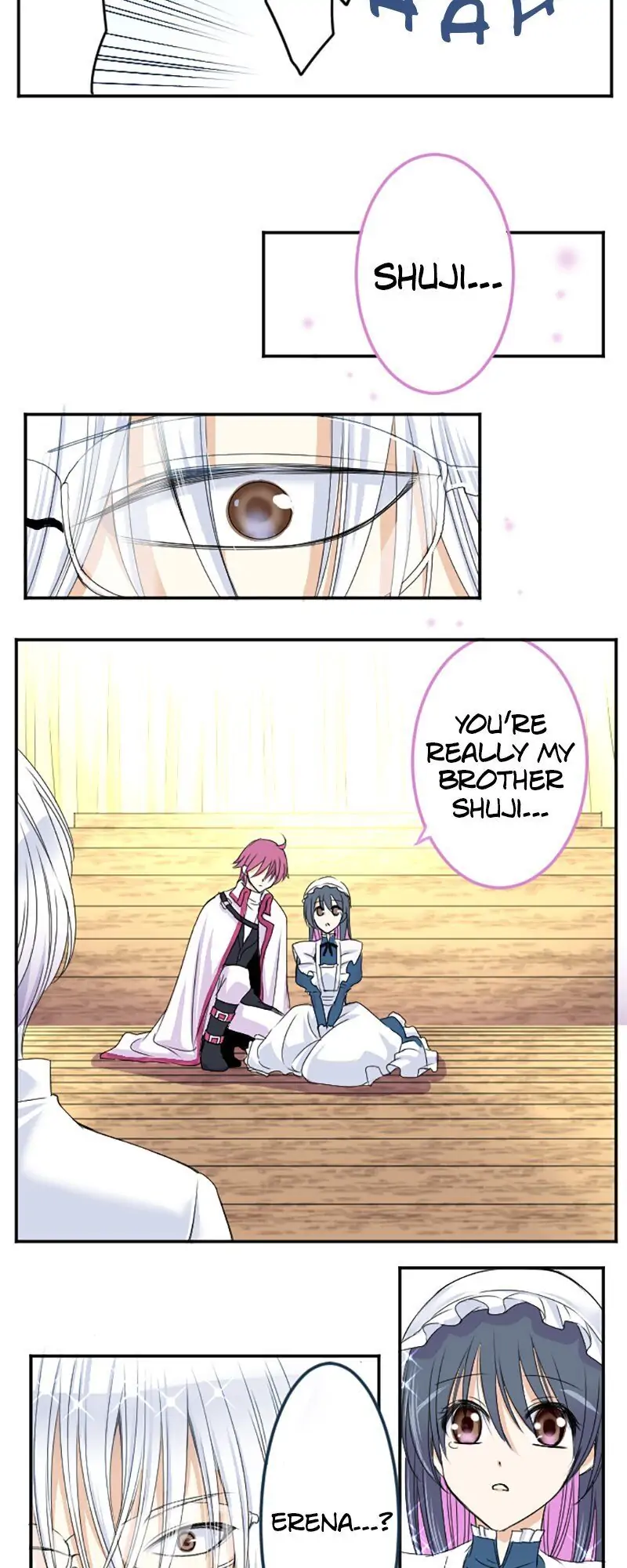 I was Reborn as a Housekeeper in a Parallel World! Chapter 28 105 002