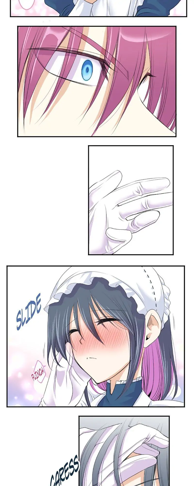 I was Reborn as a Housekeeper in a Parallel World! Chapter 30 112 021