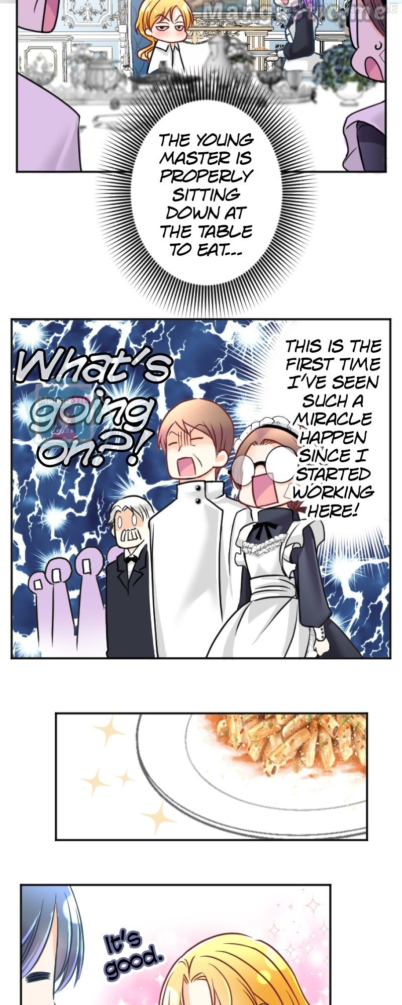 I was Reborn as a Housekeeper in a Parallel World! Chapter 98 177 image 30