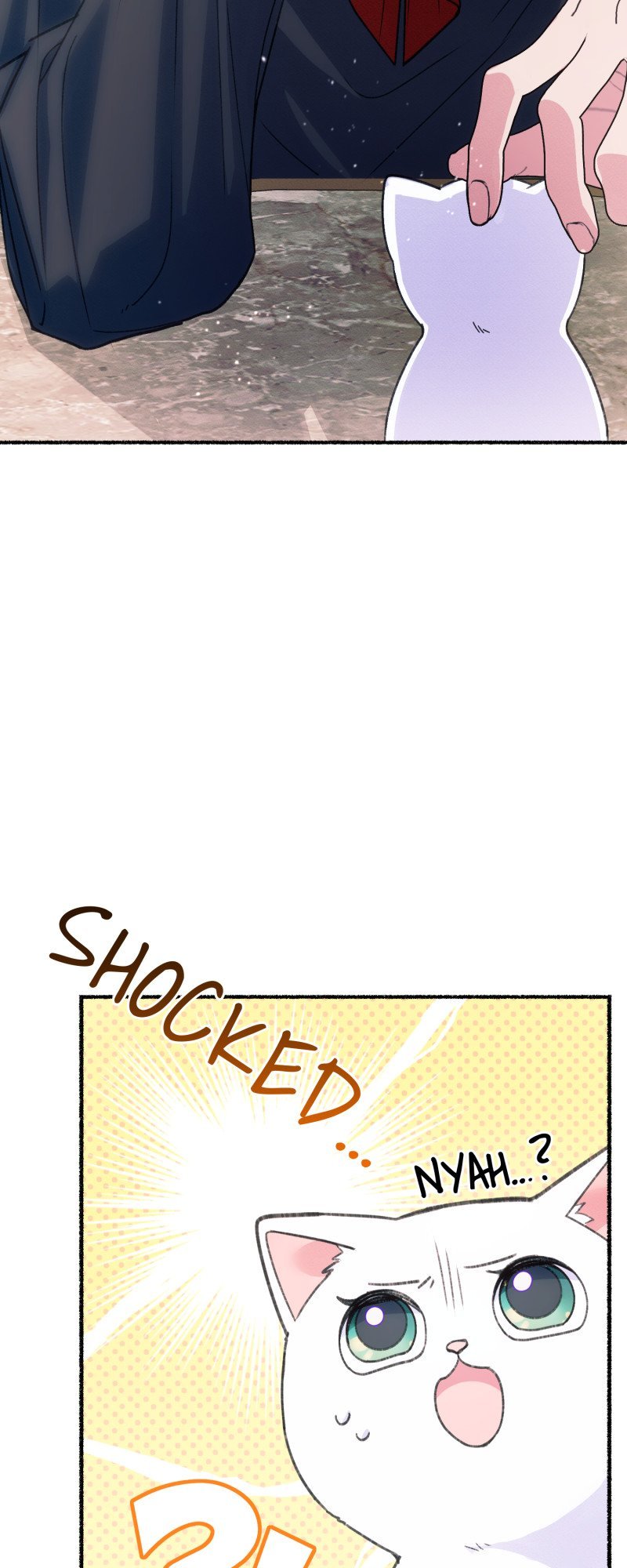 ch 0 71