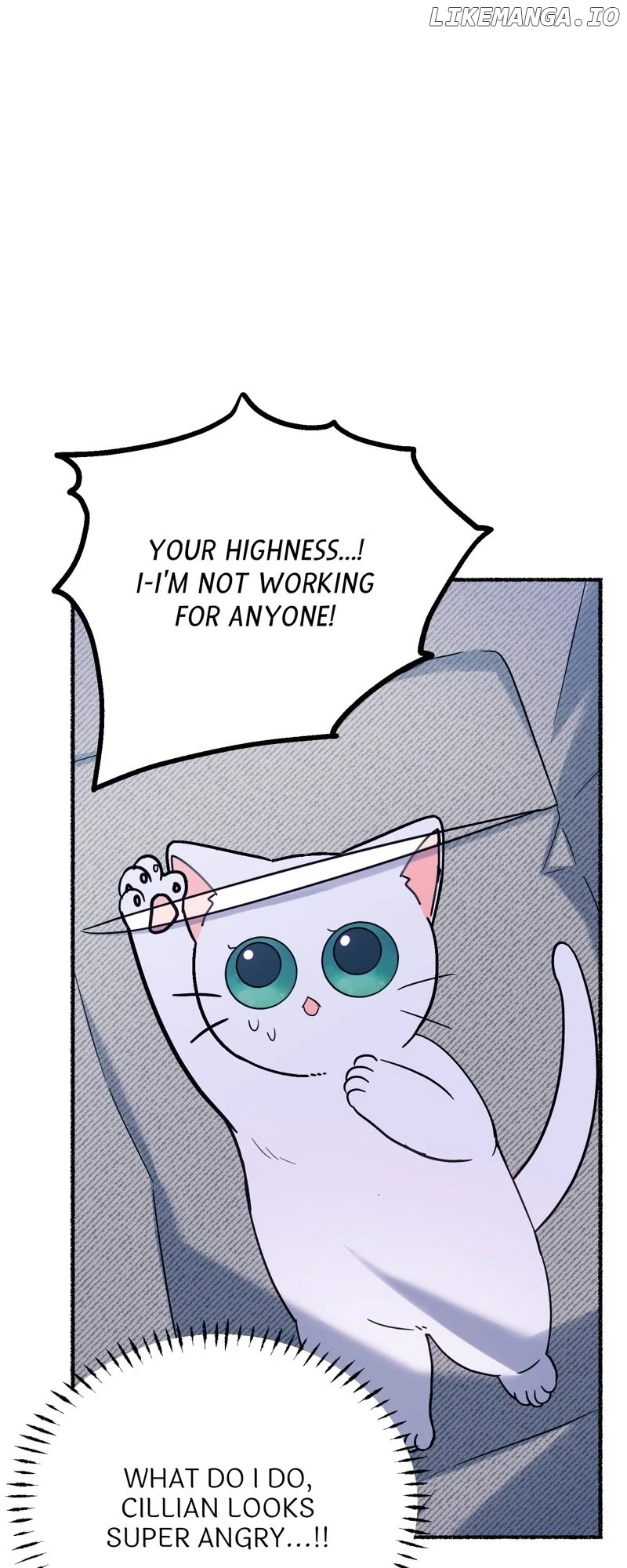 ch 11 46