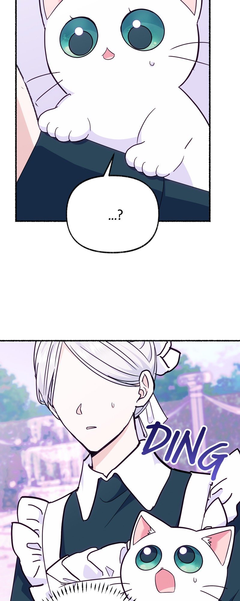 ch 12 62
