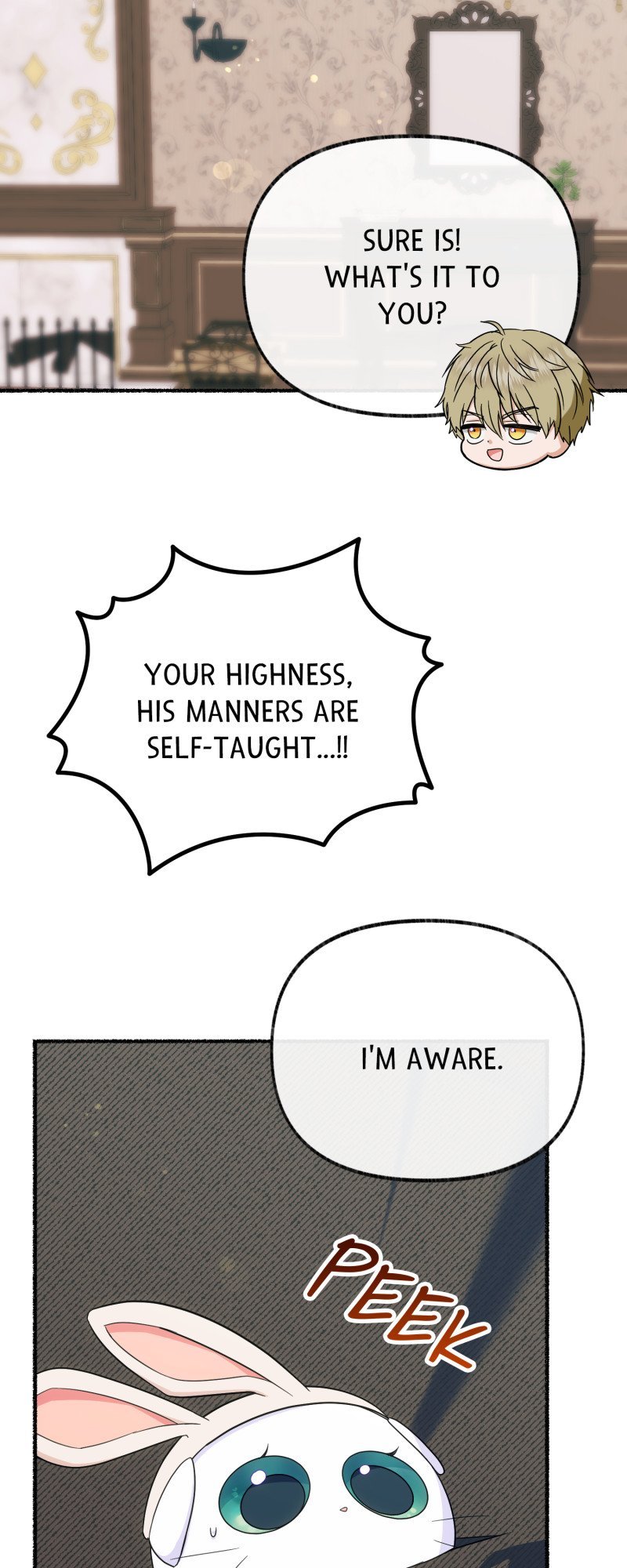 ch 15 43