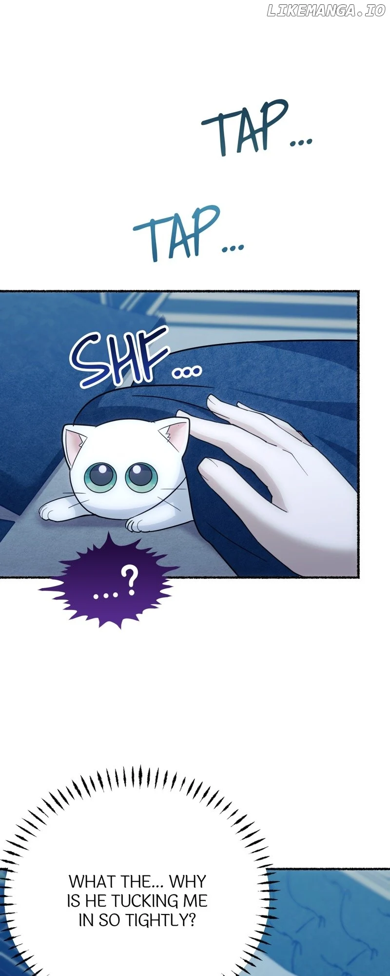 ch 3 67