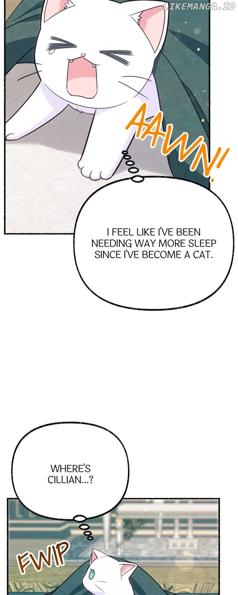 ch 4 22