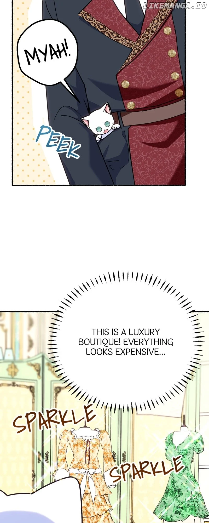ch 4 66