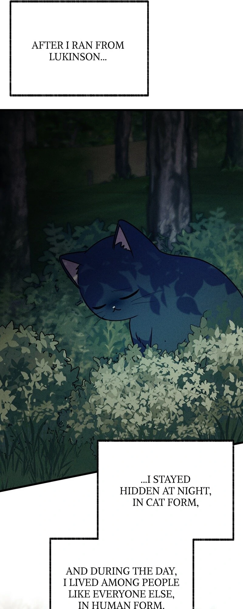 The Possesive Tyrant and His Sleepy Cat Chapter 64 221 ch 64 13
