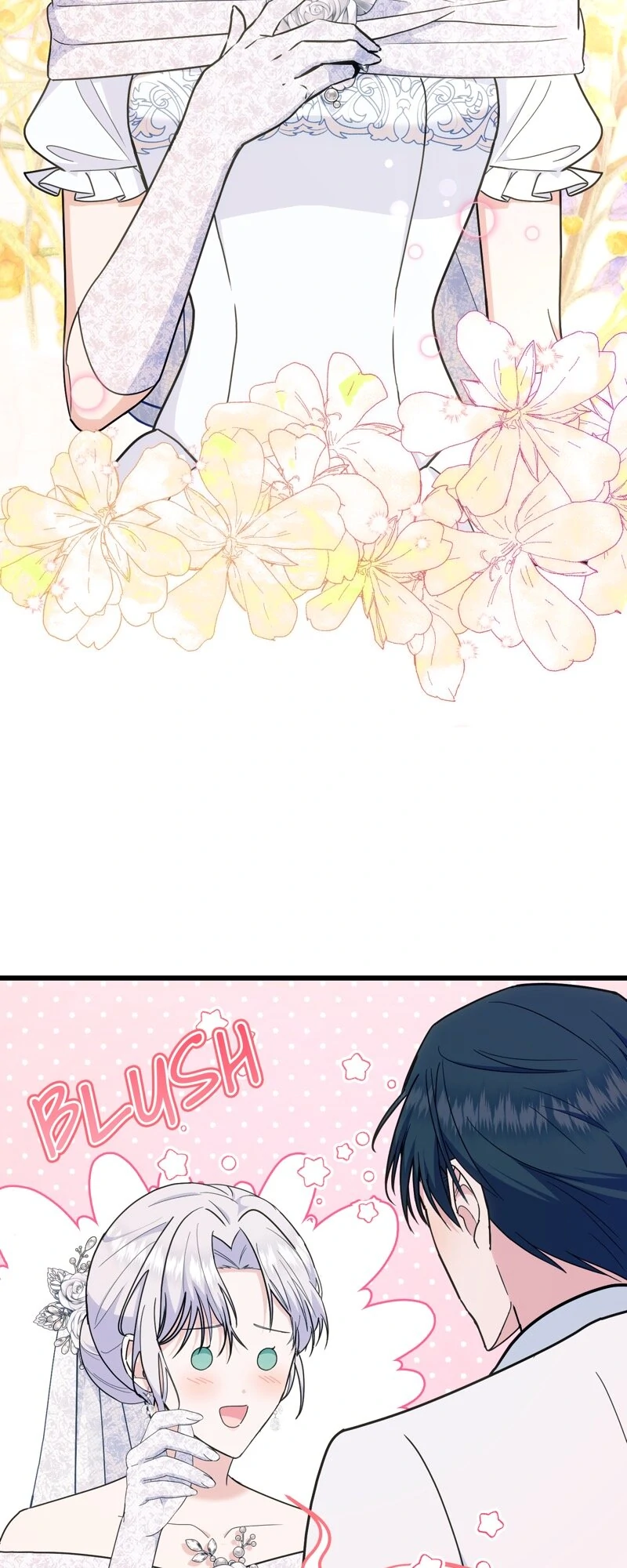ch 66 29